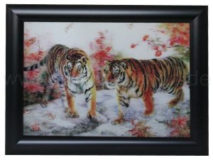 3D Bild zwei Tiger Modell A