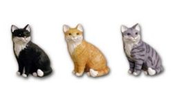 Cat sitting grey K454