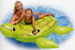Turtle Mount
