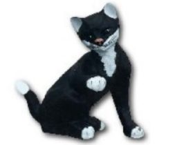 Cat sitting K452
