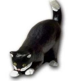Cat   K204
