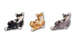 Cat black K086A