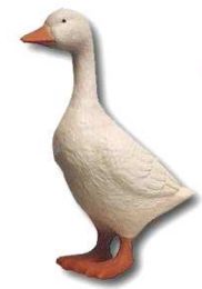 Goose K294A