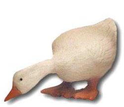 Goose K294C