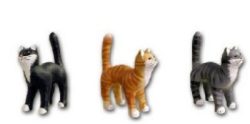 Cat standing brown K460