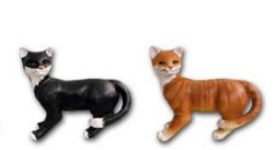 Cat black    K321