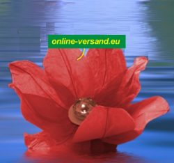 Wasserlaterne Lotusblume rot