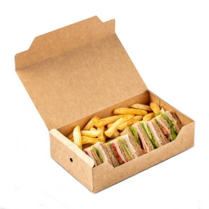 Snackbox green line plastikfrei  22x13x5,5cm, 100 Stck