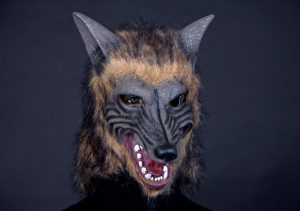 Werwolf braun mit Plschhaar