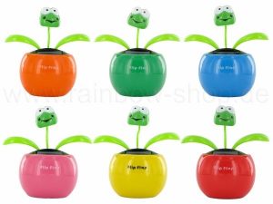 Solar flower Frog color mix sorted