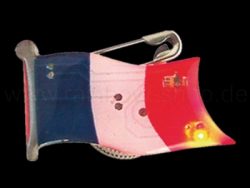 Flashing magnet flag France