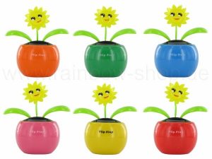 Solarblumen Sonne Farbmix sortiert
