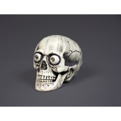 Skull with eyeballs