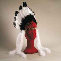 Huptlingsfederschmuck