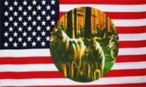 Fahne USA 3 Wlfe