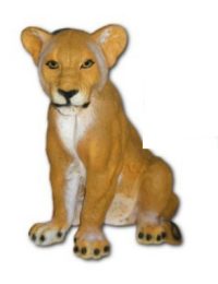 Lioness sitting K740