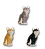 Cat sitting K462