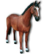 Horse standing