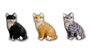 Cat sitting grey K454