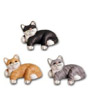 Katze braun K574