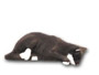 cat lying K601