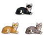 Cat lying grey K453