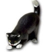 Katze K204