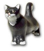 Katze K203