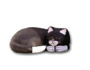 Cat lying K238