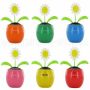 Solar flower Sunflower color mix sorted