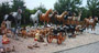 Deko- und Gartenfiguren Shop Franchisepartner