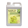 EU Premium Sirup flavor Gooseberry