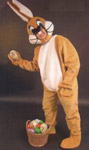 Easter bunny Overall