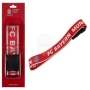 Webbing FC Bayern Mnchen blue, red, white