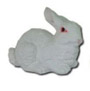 Krolik bialy lezacy K756