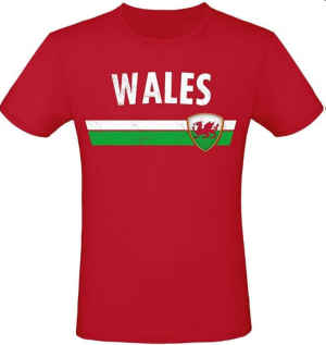 WM 2026 T-Shirt inklusive Druck Wales